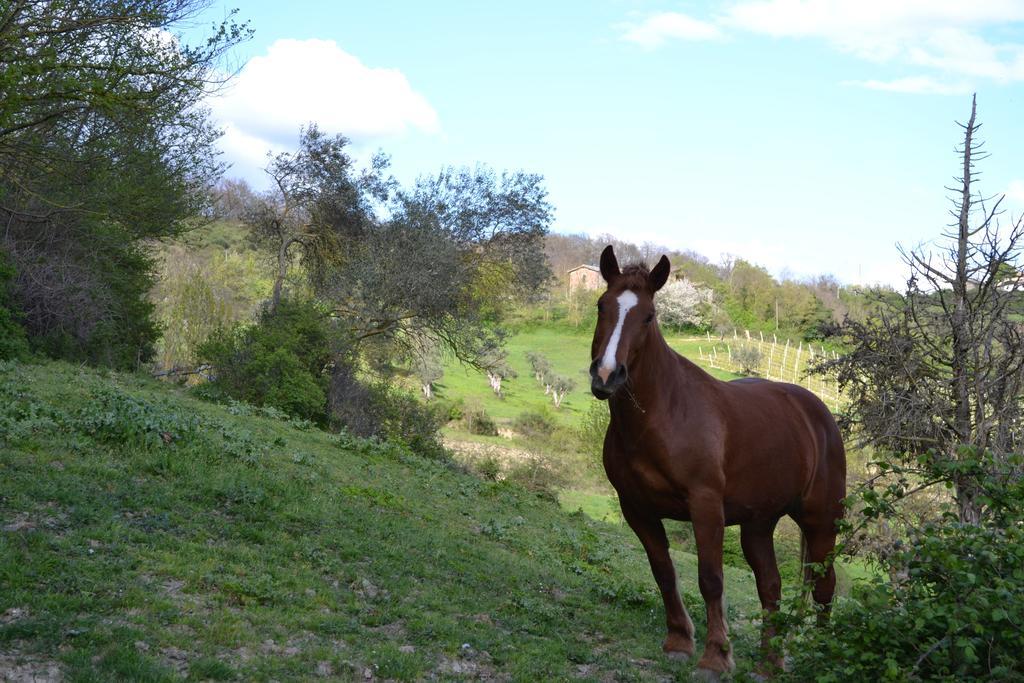 Agriturismo Marano Mengara Εξωτερικό φωτογραφία